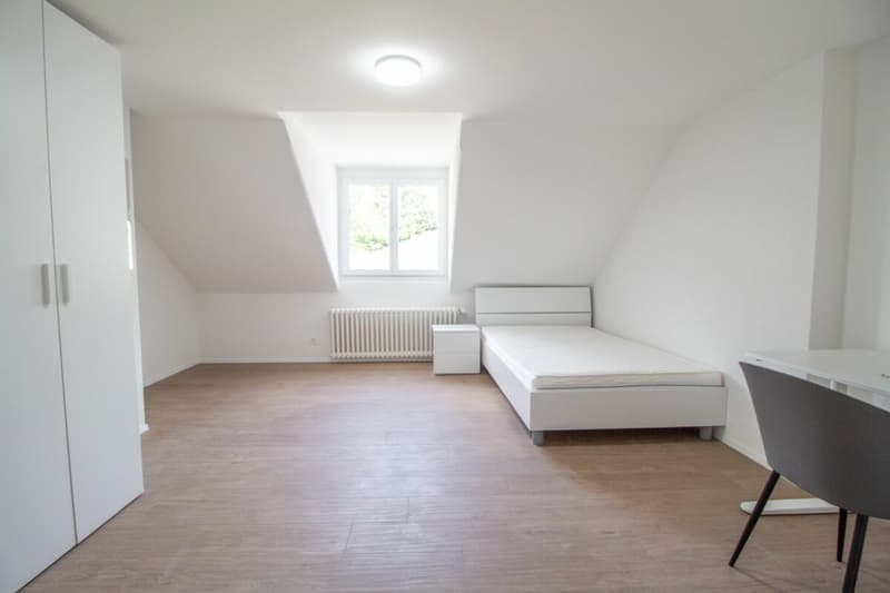 Möblierte und frisch sanierte Zimmer in WG-Wohnungen - ideal für Studierende oder Alleinstehende (10)