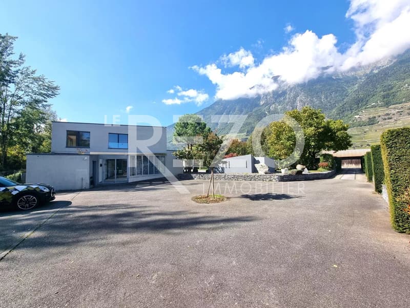 Architect-designed villa with swimming pool and sauna - Fully (2)