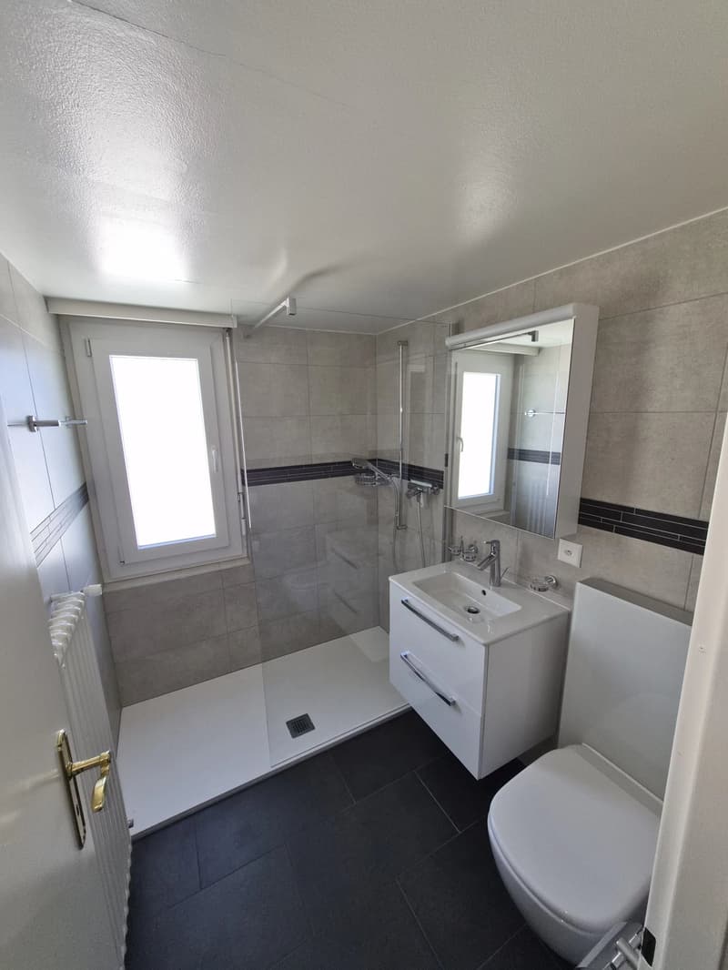 Baisse de PRIX!! 4.5 Lumineux avec balcon et vue panoramique à Ayent (8)