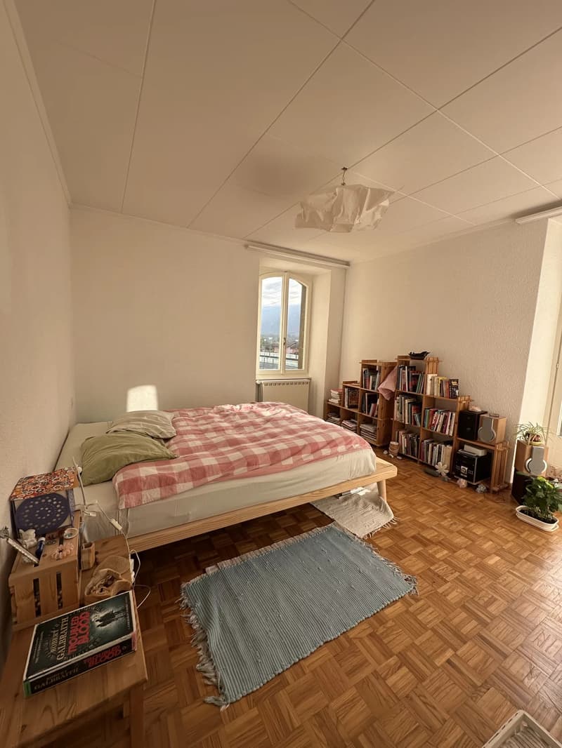 Appartement de 3,5 pces à deux pas de la gare de St-Léonard (3)
