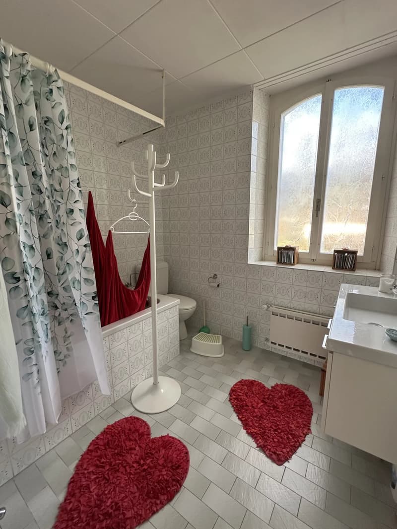 Appartement de 3,5 pces à deux pas de la gare de St-Léonard (6)