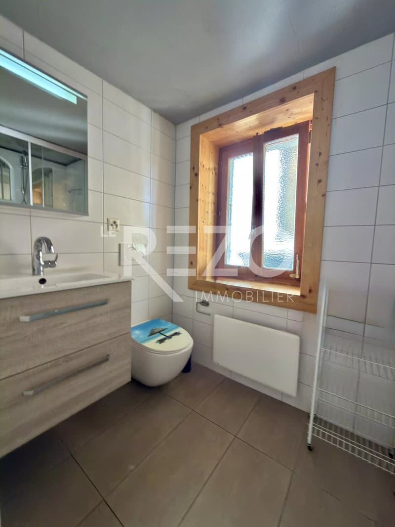 Attic apartment with 4.5 rooms, garage and garden, ideally located in the heart of Nax, Mont Noble. (13)