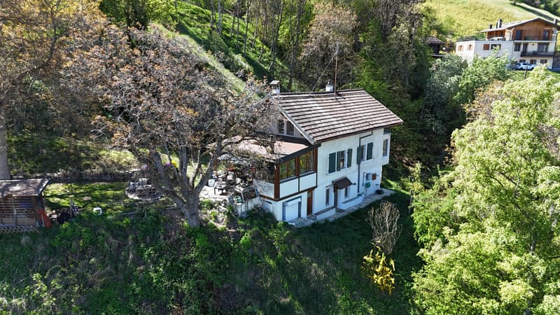 House and beautiful plots of land (10)