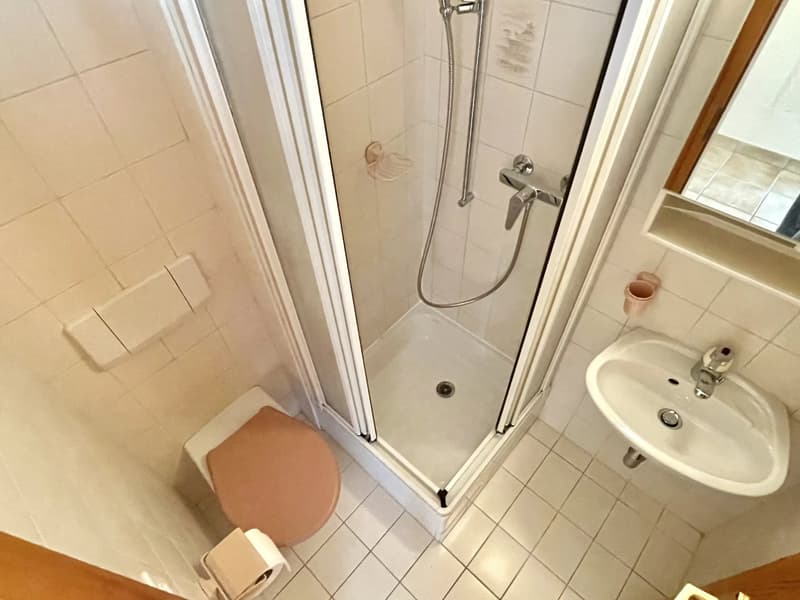 OPPORTUNITY 4.5 rooms to renovate (9)