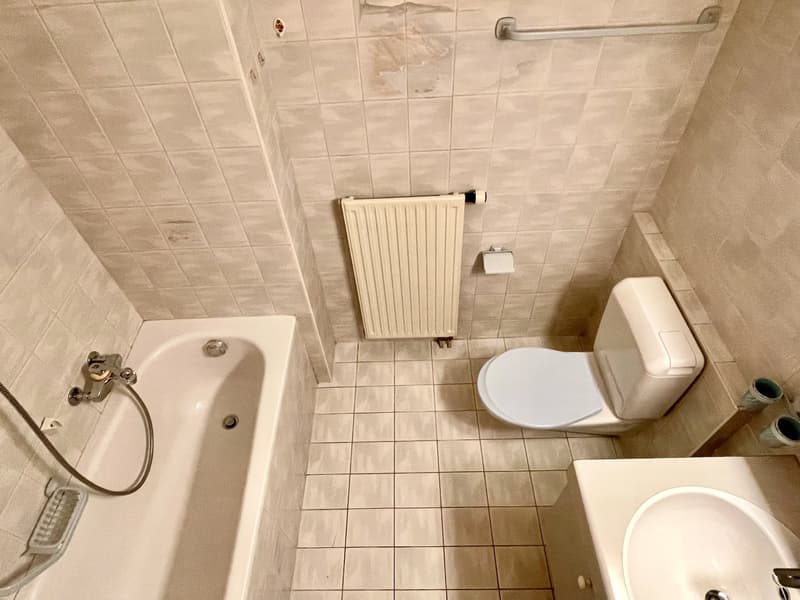 OPPORTUNITY 4.5 rooms to renovate (6)