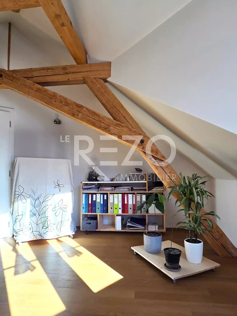 House with 2 apartments of high standard - Completely renovated - Sierre (13)