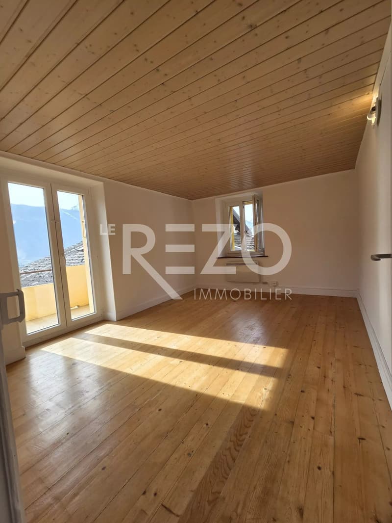 Apartment 4.5 rooms Duplex (8)