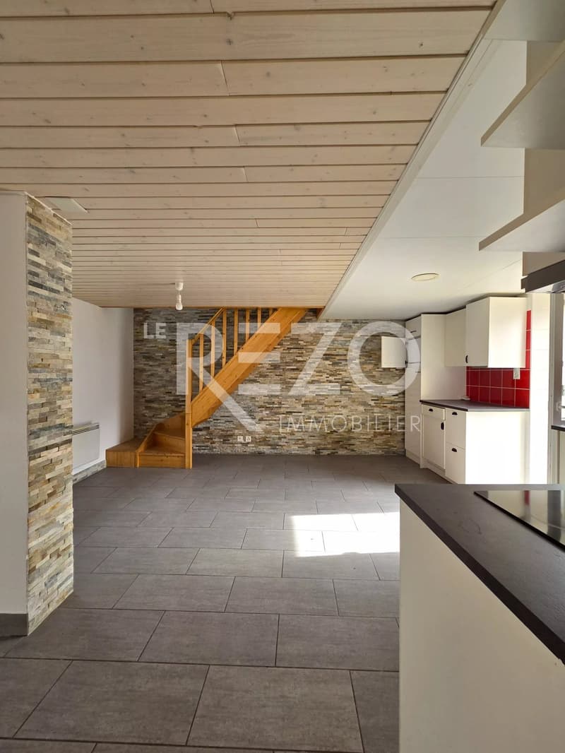 Apartment 4.5 rooms Duplex (3)