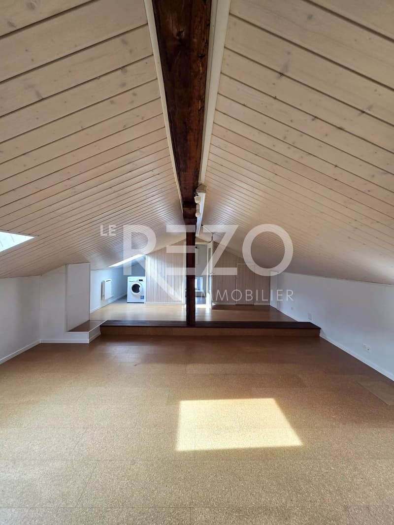 Apartment 4.5 rooms Duplex (13)