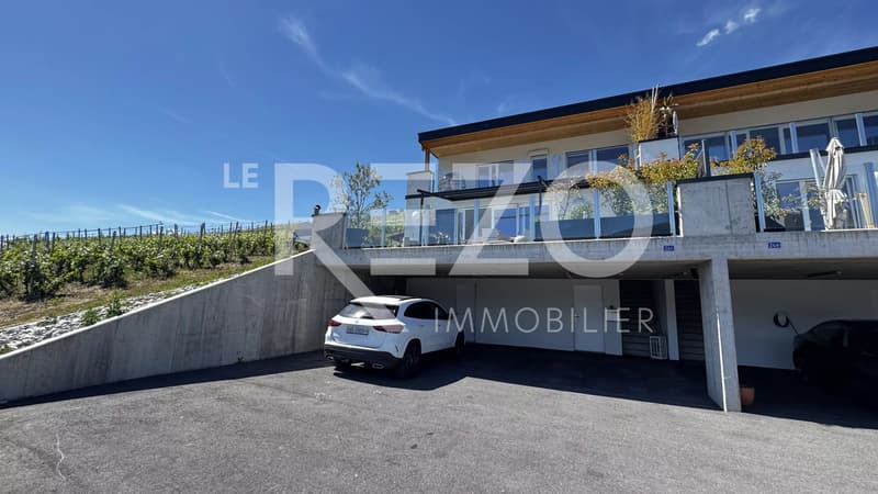 House with 5.5 rooms and panoramic view - Ayent (1)