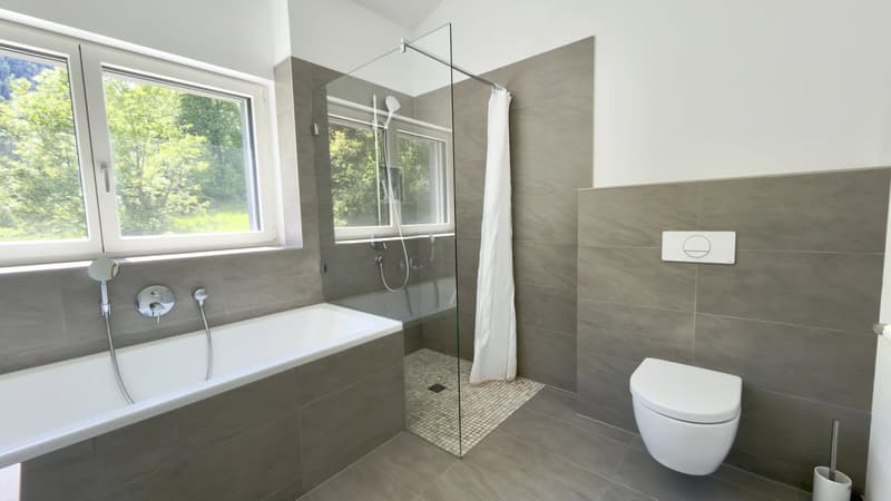 Exceptional ecological villa 6.5 rooms ? absolute calm in the heart of nature in Les Vérines (9)