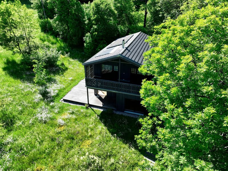 Villa ecologica di eccezione 6.5 locali ? calma assoluta nella natura alle Vérines (13)