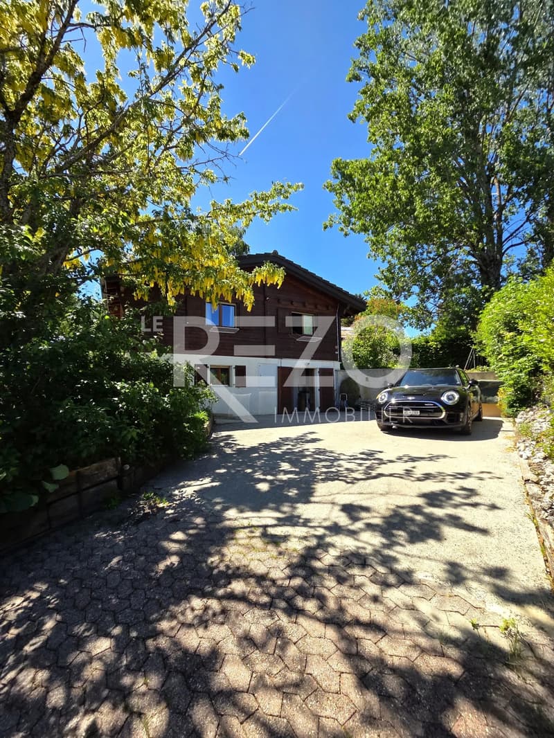 Beautiful 5-room chalet, absolute tranquility and panoramic view of the lake (6)