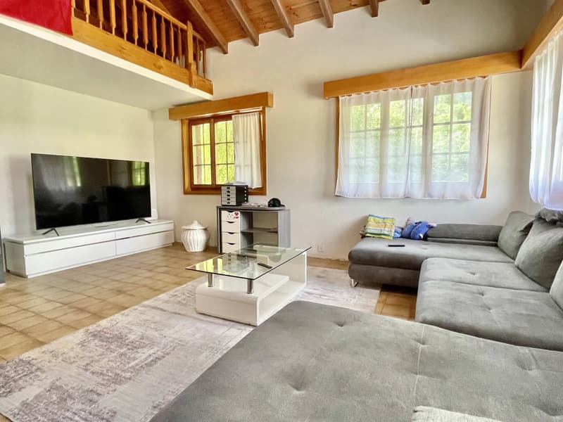 Grand appartement 3,5 pièces avec galerie (1)