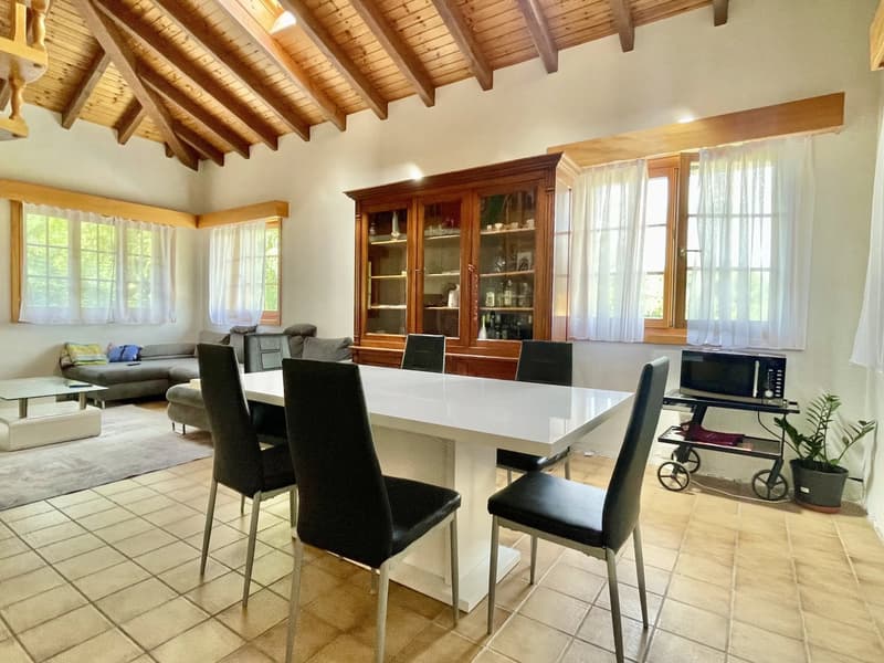Grand appartement 3,5 pièces avec galerie (2)