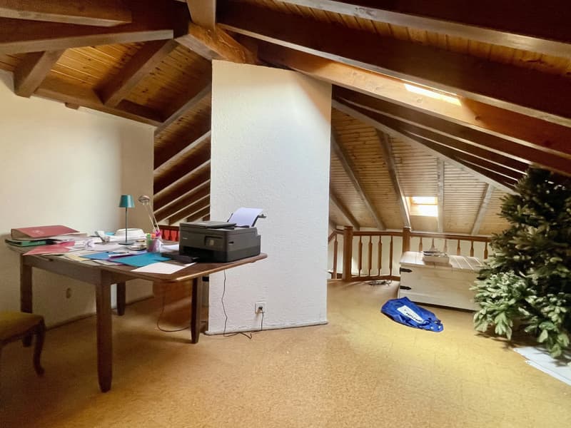 Grand appartement 3,5 pièces avec galerie (6)