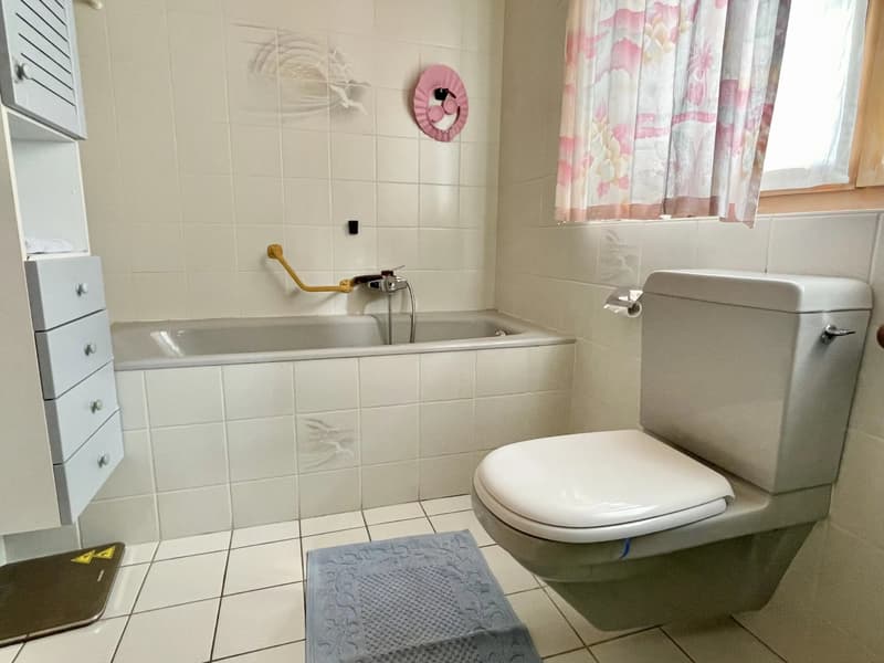 Grand appartement 3,5 pièces avec galerie (4)