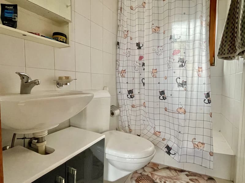 Lage - Appartement Noble-Contrée (Veyras) (6)