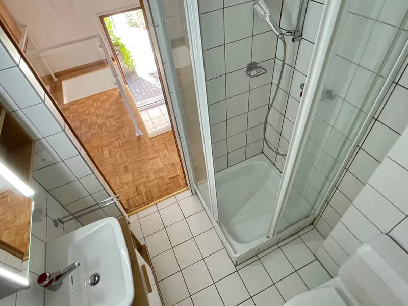 2 Stanze Duplex nel Centro di Sierre (5)