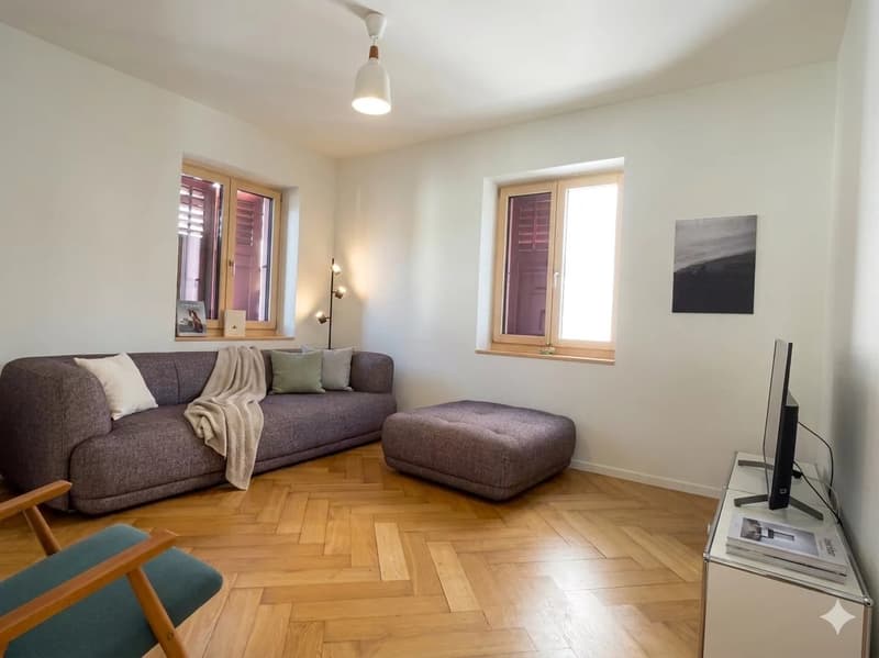 Beautiful 5.5-room duplex in the city center (2)