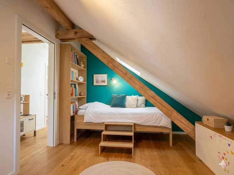 Beautiful 5.5-room duplex in the city center (5)