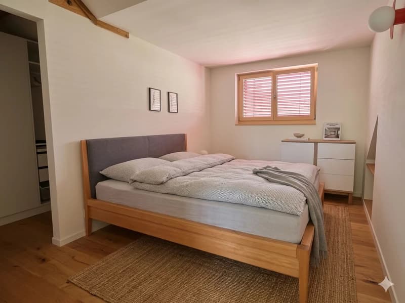 Beautiful 5.5-room duplex in the city center (6)