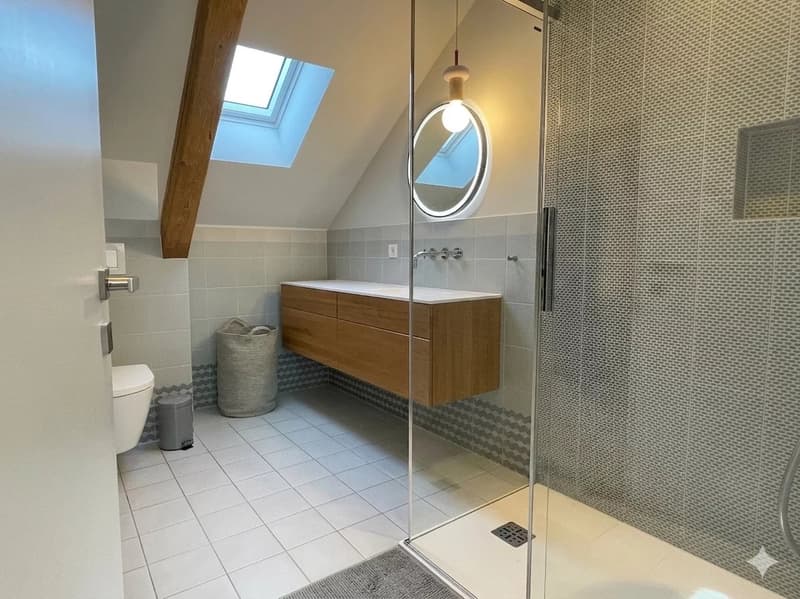 Beautiful 5.5-room duplex in the city center (3)