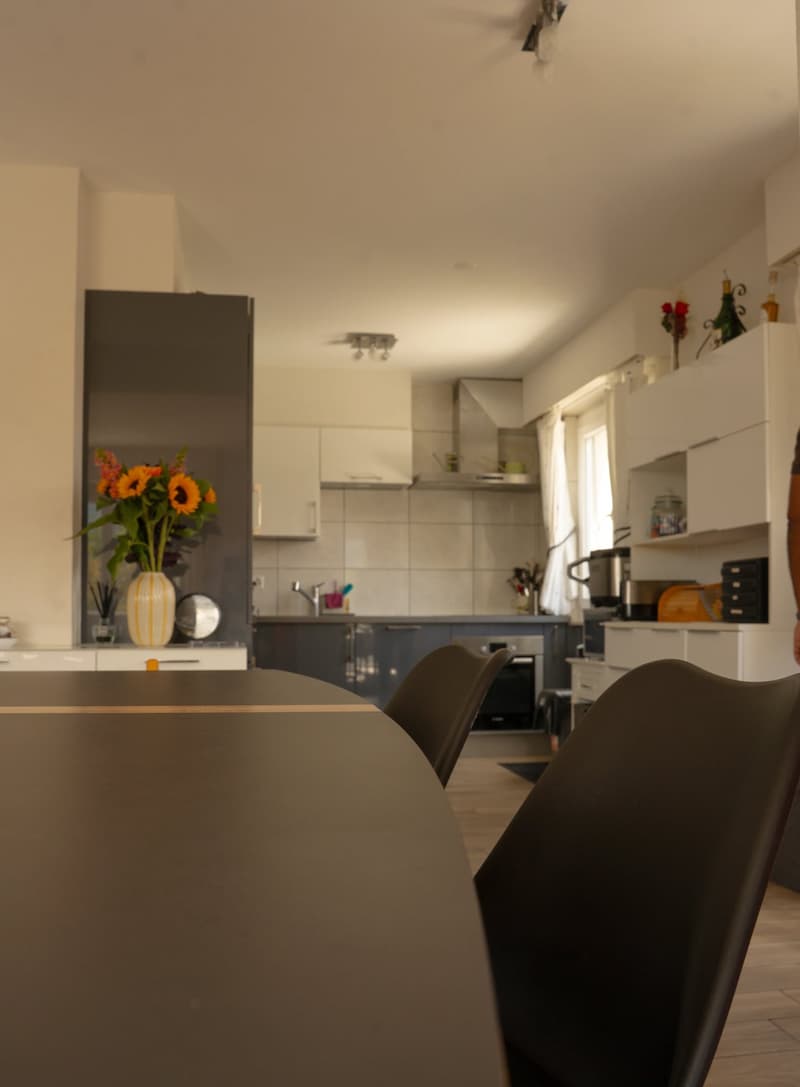 Maison 5,5 pièces jumelée avec grand jardin. Grimisuat, VS (4)