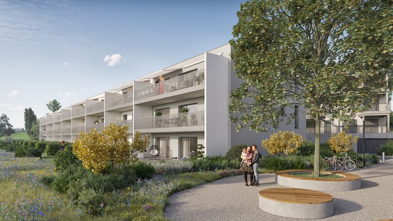 Ideal für Investoren: Exklusives Angebot von 3 neuen Wohnungen in PPE (3)