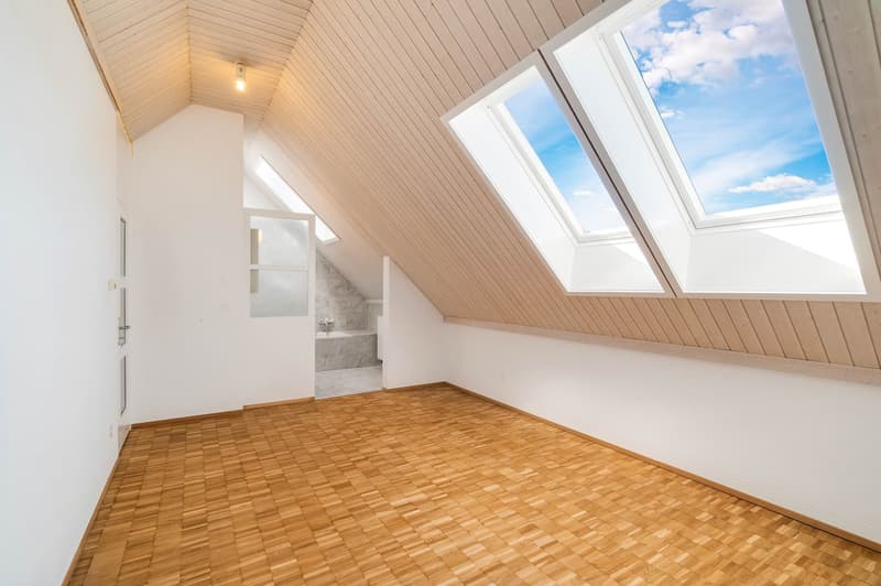 empty room, wooden floor, white walls, skylights, door, bathroom