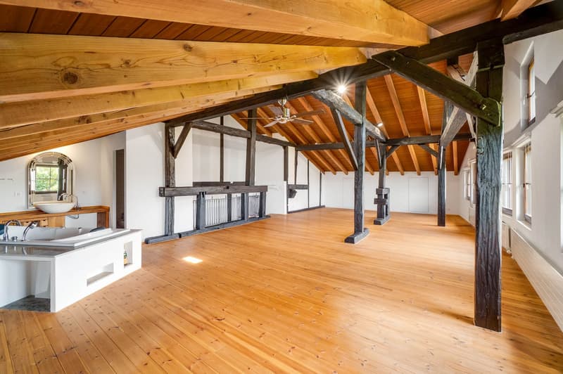 Majestic Estate with Extensive Grounds (15)