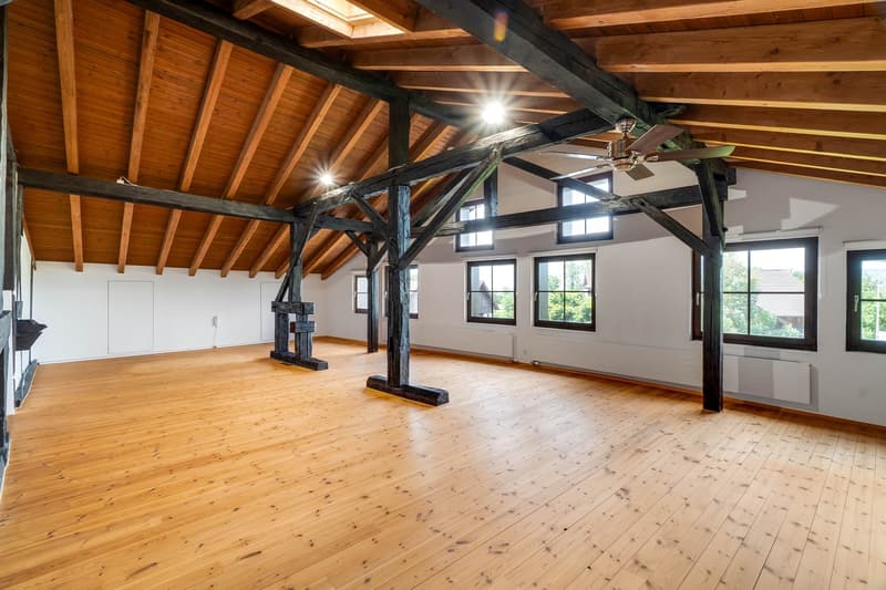 Majestic Estate with Extensive Grounds (14)