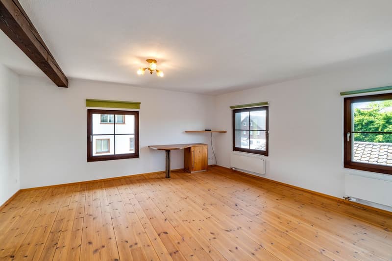 Majestic Estate with Extensive Grounds (9)