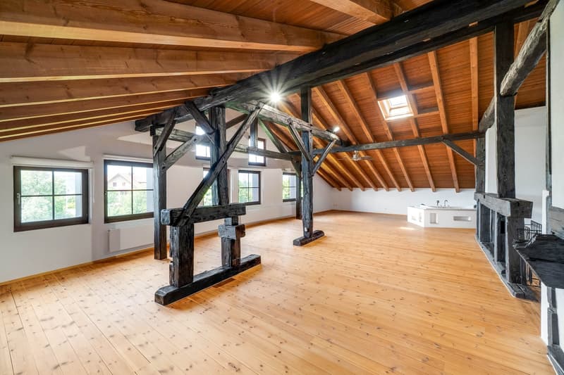 Majestic Estate with Extensive Grounds (13)