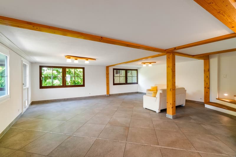 Majestic Estate with Extensive Grounds (7)