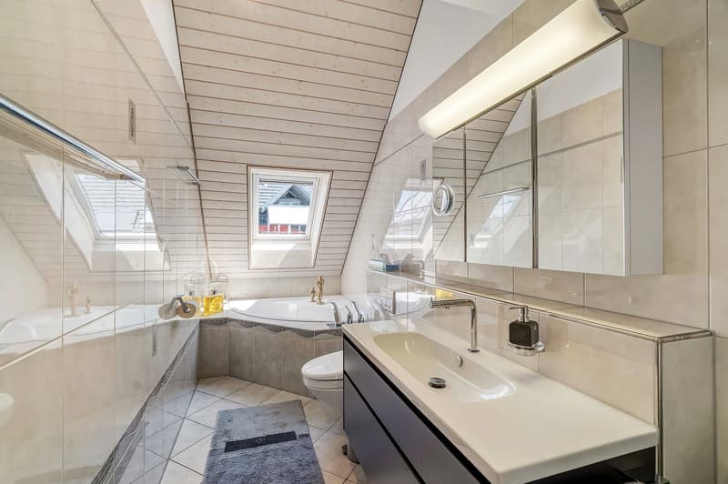 Grosszügige Dach-Maisonettewohnung mit Südwestterrasse und Alpensicht (10)