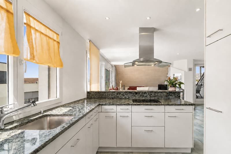 Grosszügige Dach-Maisonettewohnung mit Südwestterrasse und Alpensicht (5)