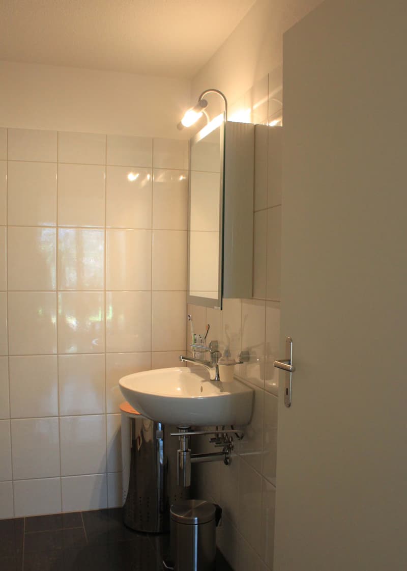 Appartement de jardin 4,5 pièces avec chauffage géothermique à Meisterschwanden (6)