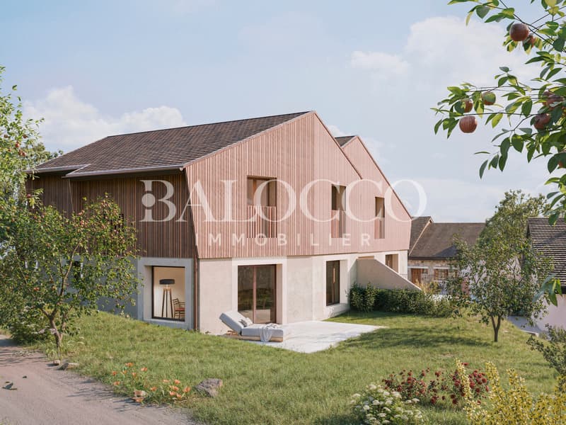 In the heart of the Vaud vineyard - Lot 3 (5)