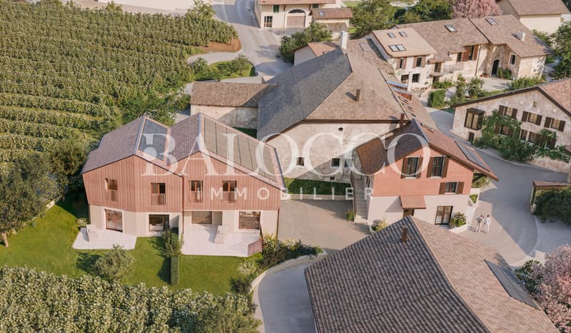 In the heart of the Vaud vineyard - Lot 3 (6)