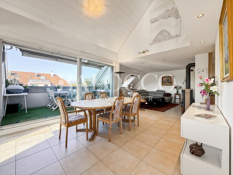 Très beau duplex de 6,5 pièces (2)