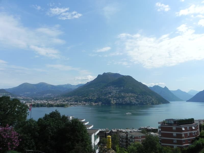 Villetta unifamiliare con bellissima vista lago, circondata della meravigliosa natura a Paradiso. (15)