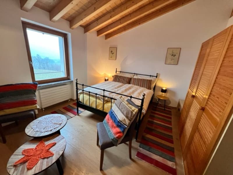 Prächtiges Landhaus mit 12 Räumen und Weinberg in Breganzona (25)