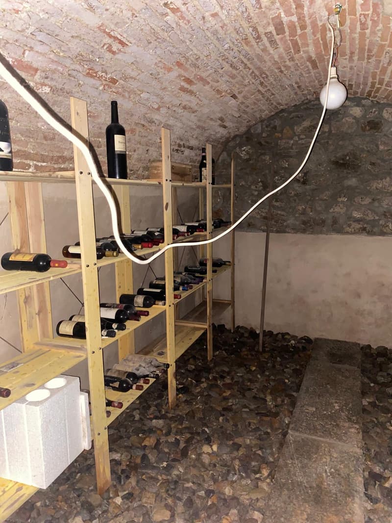 Prächtiges Landhaus mit 12 Räumen und Weinberg in Breganzona (20)