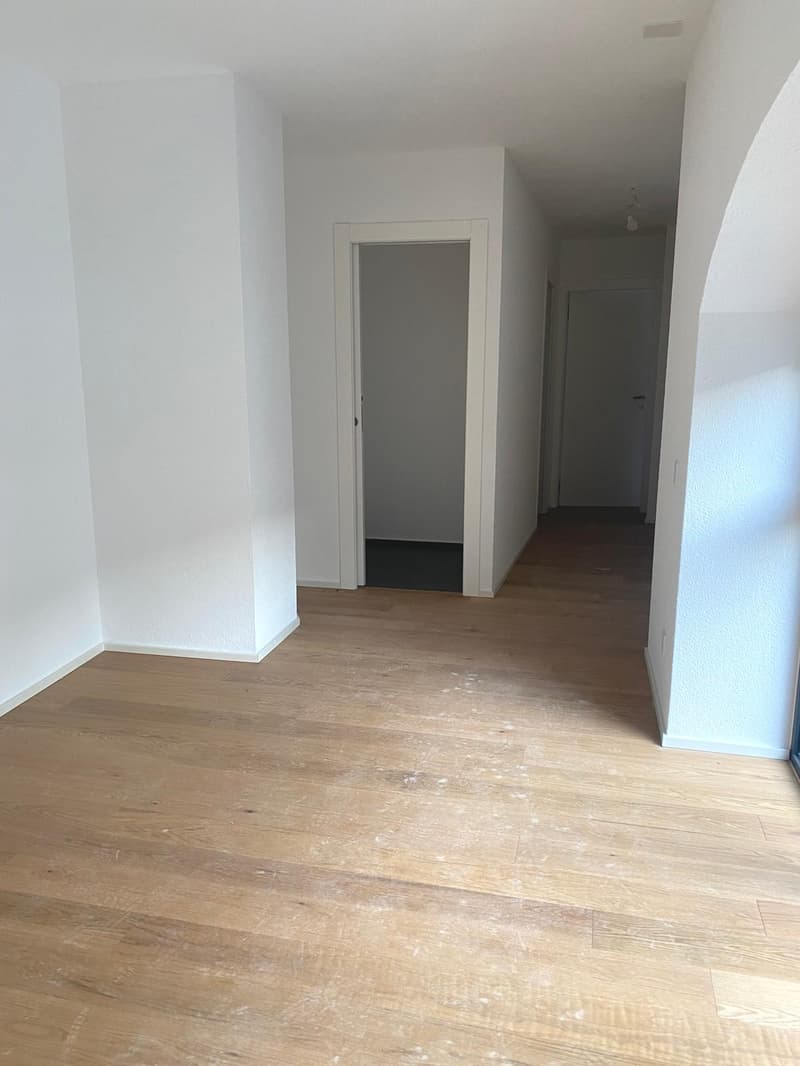 Characteristic 2.5-room apartment in Mendrisio (7)