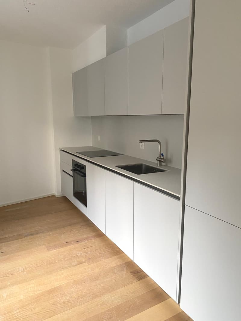 Characteristic 2.5-room apartment in Mendrisio (4)