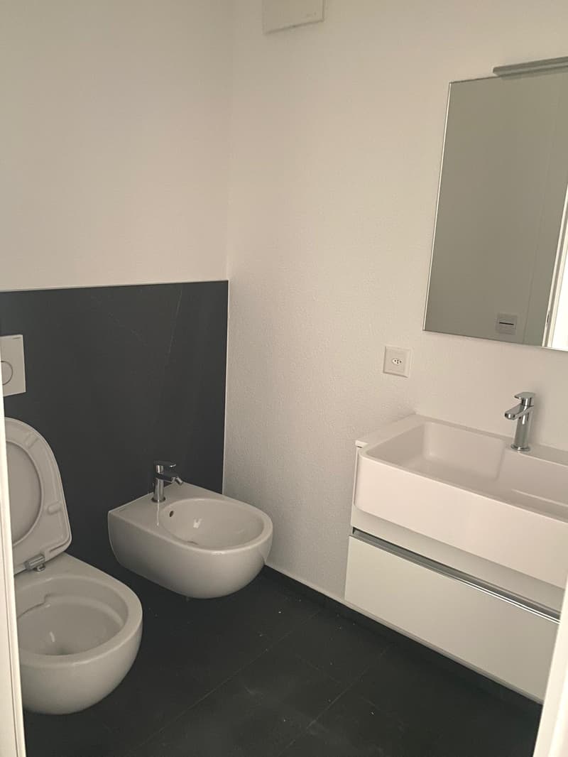Characteristic 2.5-room apartment in Mendrisio (6)