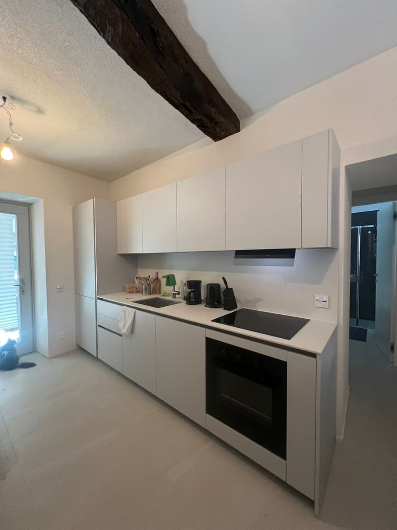 Modernes 1.5-Zimmer-Apartment in Mendrisio mit Balkon (1)