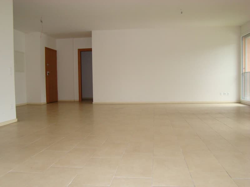 Chiasso ampio e luminoso Attico di 4,5 locali, con vista aperta (4)