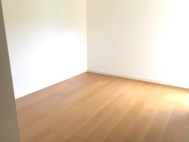 Melide elegant and spacious 5.5 rooms (10)
